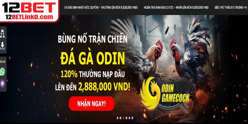 Trả lời qua phản hồi tích cực dịch vụ game từ hội viên thực tế